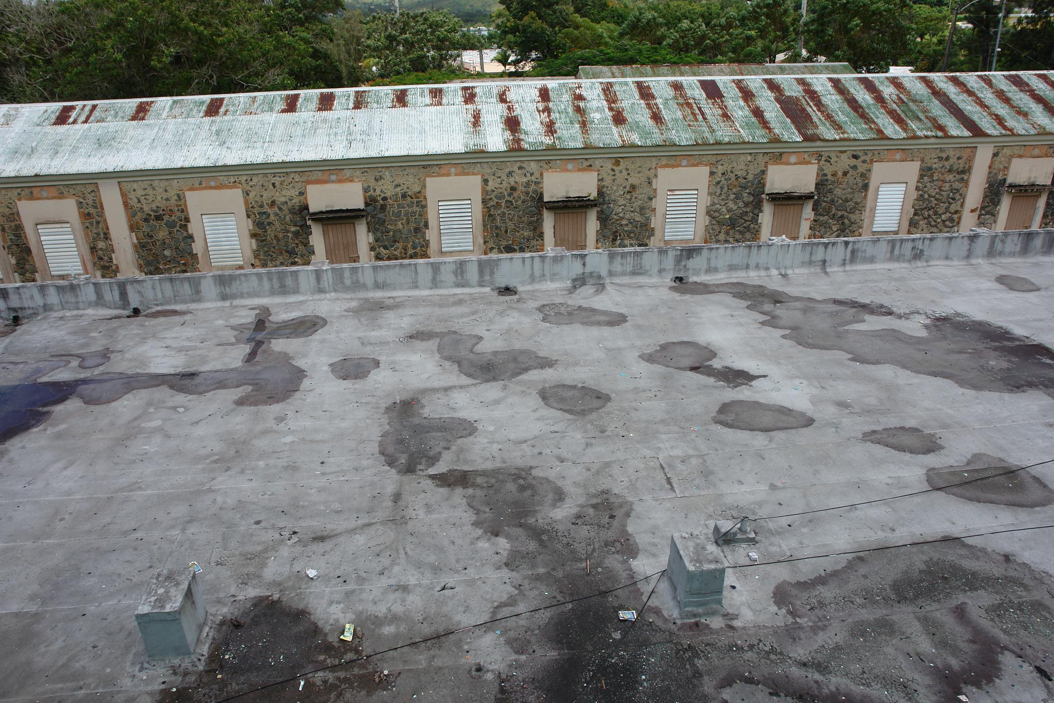 FDI - Aibonito - 2010 00090